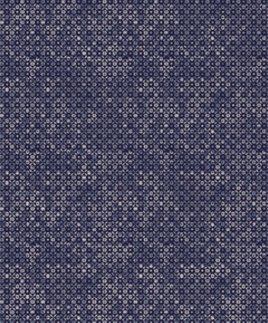 1S0829 - Image 2