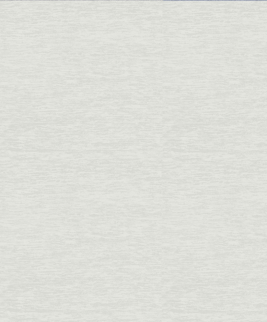 1S0060 - Image 2